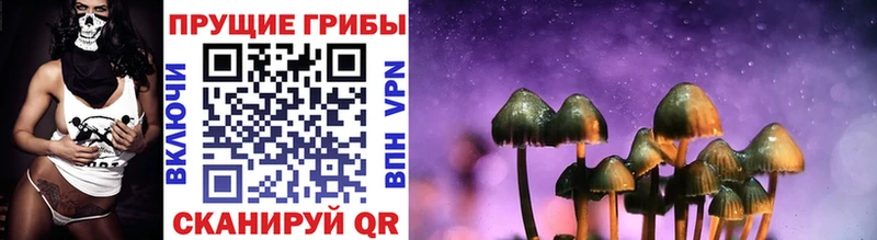 Галлюциногенные грибы Cubensis  Купить закладки  Почеп 
